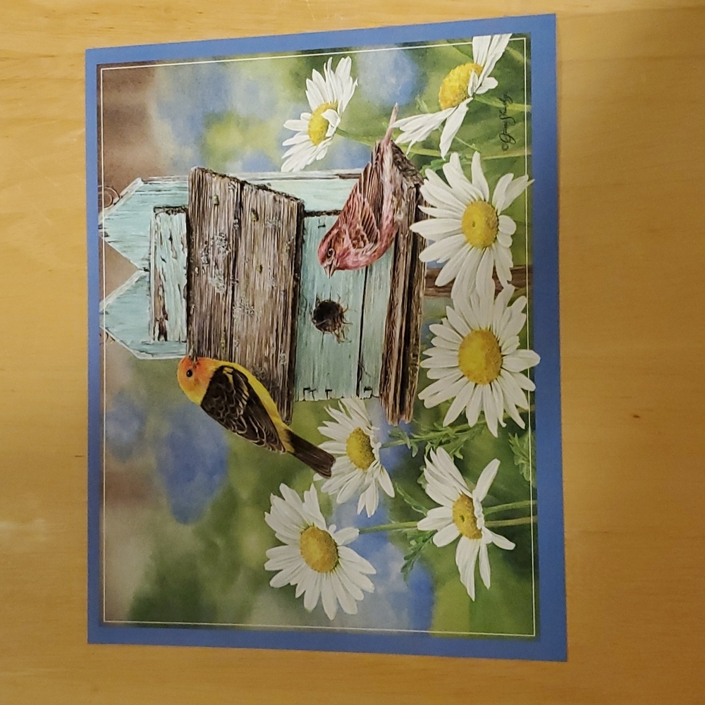 Jane Shasky Poster of Wrens and a Birdhouse surrounded by Daisies